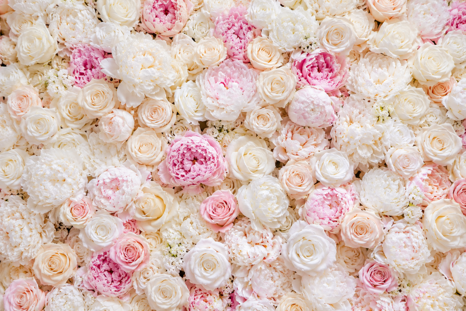  flower wall rental DFW wedding 